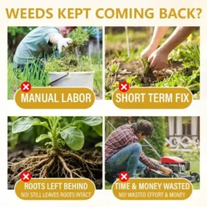 Clinclii® Pro Strength 2-in-1 Herbicide